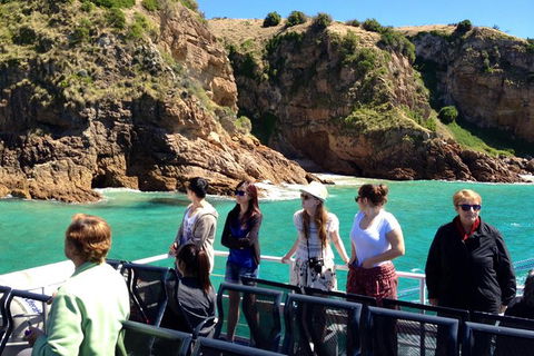 Cape Woolamai Sightseeing Cruise From San Remo - Accommodation Daintree 1