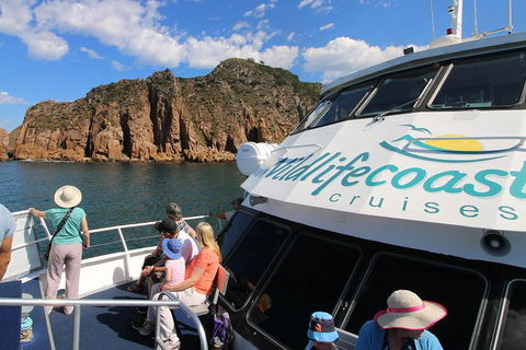 Cape Woolamai Sightseeing Cruise From San Remo - Accommodation Daintree 9
