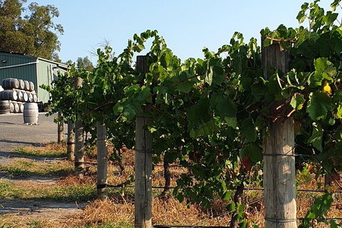 Wine Tasting Tour In The Yarra Valley - Accommodation Daintree 0