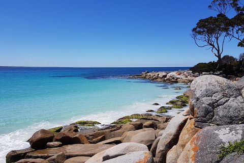 Tasmania 6 Day \'Tour In Circle\' - Accommodation Daintree 4