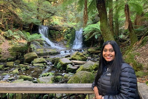Day Tour In Mt. Field, Mt. Wellington, Bonorong Wildlife Sanctuary And Richmond - Accommodation Daintree 4