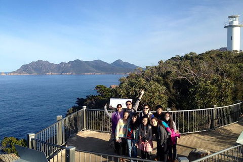 Wineglass Bay And Freycinet National Park Active Day Trip From Hobart - Accommodation Daintree 1