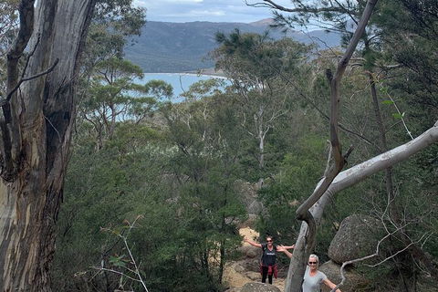 Wineglass Bay And Freycinet National Park Active Day Trip From Hobart - Accommodation Daintree 14