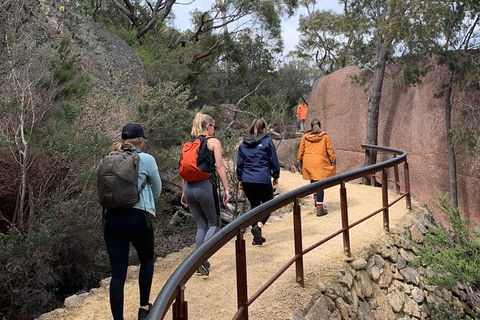 Wineglass Bay And Freycinet National Park Active Day Trip From Hobart - Accommodation Daintree 25