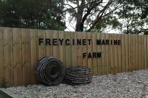 Wineglass Bay And Freycinet National Park Active Day Trip From Hobart - Accommodation Daintree 20