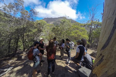 Wineglass Bay And Freycinet National Park Active Day Trip From Hobart - Accommodation Daintree 9