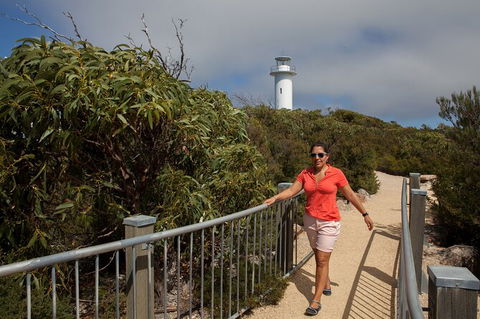 Wineglass Bay And Freycinet National Park Active Day Trip From Hobart - Accommodation Daintree 29