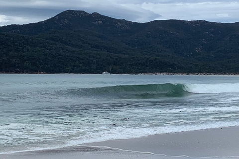 Wineglass Bay And Freycinet National Park Active Day Trip From Hobart - Accommodation Daintree 17