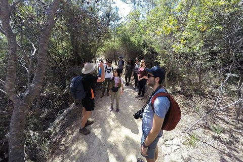Wineglass Bay And Freycinet National Park Active Day Trip From Hobart - Accommodation Daintree 19
