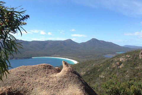 Wineglass Bay And Freycinet National Park Active Day Trip From Hobart - Accommodation Daintree 33