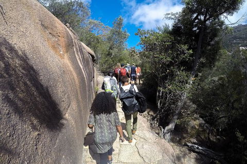 Wineglass Bay And Freycinet National Park Active Day Trip From Hobart - Accommodation Daintree 21