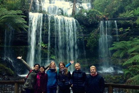 Mt Field National Park Active Day-Trip Including Bonorong And Mt Wellington - Accommodation Daintree 1