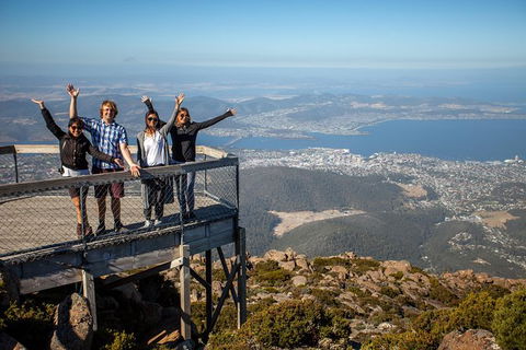Mt Field National Park Active Day-Trip Including Bonorong And Mt Wellington - Accommodation Daintree 0