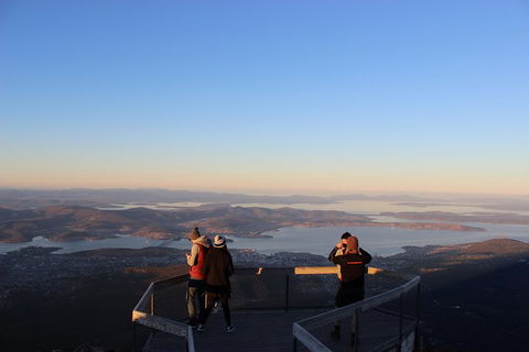 Mt Field National Park Active Day-Trip Including Bonorong And Mt Wellington - Accommodation Daintree 7