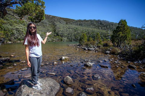 Mt Field National Park Active Day-Trip Including Bonorong And Mt Wellington - Accommodation Daintree 12