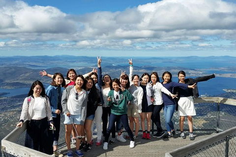 Mt Field National Park Active Day-Trip Including Bonorong And Mt Wellington - Accommodation Daintree 3
