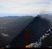 Mount Field National Park - Tarn Shelf  Russell Falls - Guided Hiking Tour - Accommodation Daintree