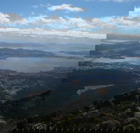 Mount Wellington Tour from Hobart - Accommodation Daintree