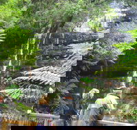 Mt Field National Park and Russell Falls from Hobart - Accommodation Daintree