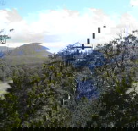 Huon Valley and Tahune Forest Airwalk Tour from Hobart - Accommodation Daintree