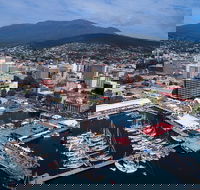 Private City Sights Half Day Trip from Hobart - Accommodation Daintree