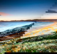 Full-Day Guided Bruny Island Tour from Hobart - Accommodation Daintree