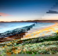 2 Day - Two of Tasmania's Best Tour - Accommodation Daintree