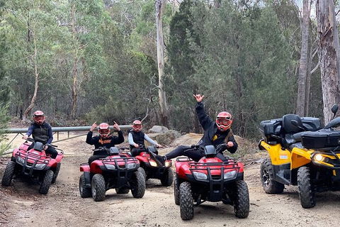 Quad Bike 2-Hour Adventure: Freycinet National Park - Accommodation Daintree 4