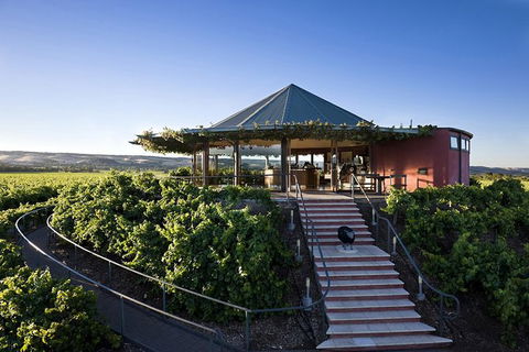 McLaren Vale Hop-On Hop-Off Winery Tour From Adelaide - Accommodation Daintree 6