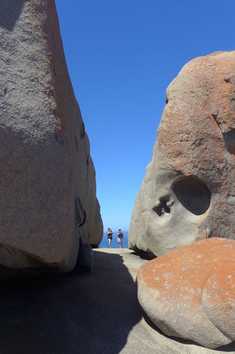 2-Day Kangaroo Island Tour From Adelaide - Accommodation Daintree 7