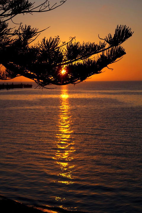 2-Day Kangaroo Island Tour From Adelaide - Accommodation Daintree 14