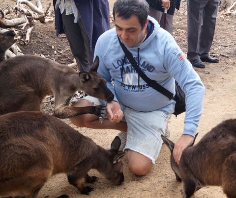 2-Day Kangaroo Island Tour From Adelaide - Accommodation Daintree 15