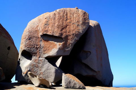 2-Day Kangaroo Island Tour From Adelaide - Accommodation Daintree 11