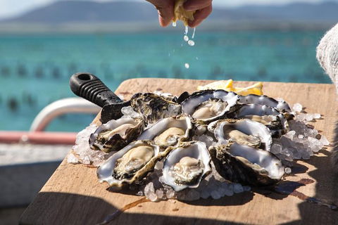 Experience Coffin Bay Short And Sweet Oyster Farm Tour - Accommodation Daintree 0