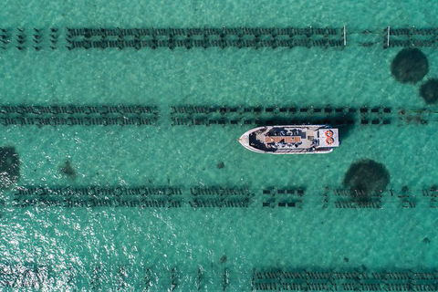 Experience Coffin Bay Short And Sweet Oyster Farm Tour - Accommodation Daintree 1