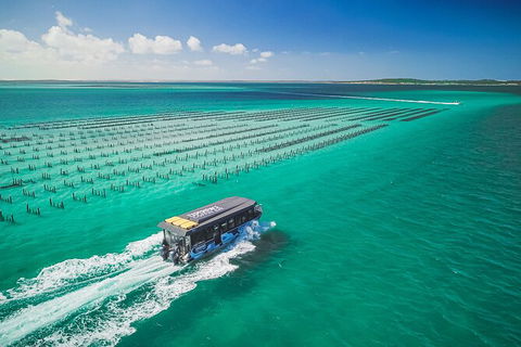 Experience Coffin Bay Short And Sweet Oyster Farm Tour - Accommodation Daintree 2