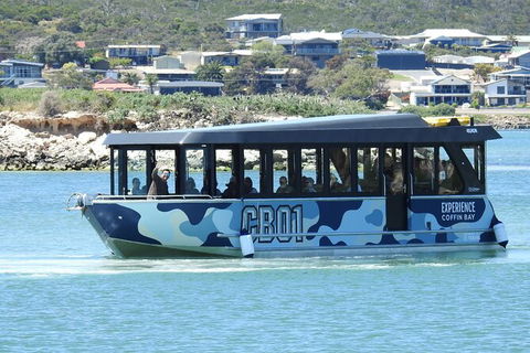 Experience Coffin Bay Short And Sweet Oyster Farm Tour - Accommodation Daintree 9