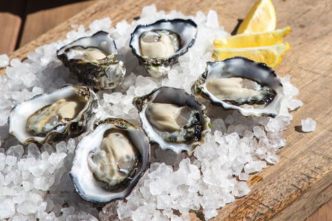 Experience Coffin Bay Short And Sweet Oyster Farm Tour - Accommodation Daintree 3