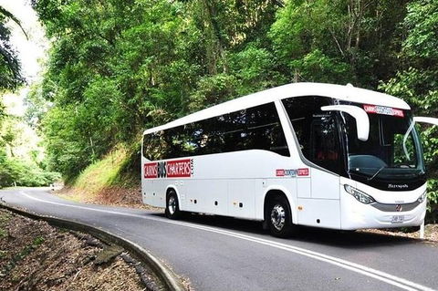 Palm Cove Departure Transfer - Palm Cove To Airport - Accommodation Daintree 1
