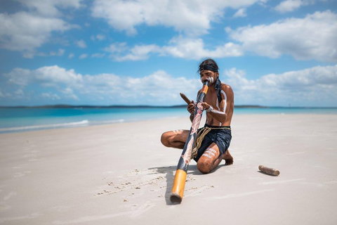 Great Sandy Marine Park Turtle Discovery And Cultural Eco Tour - Accommodation Daintree 1