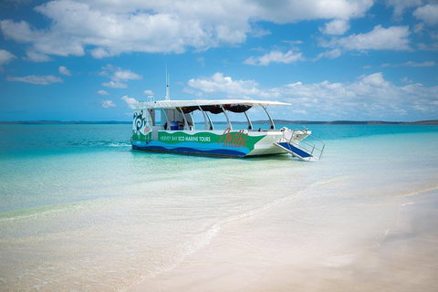 Great Sandy Marine Park Turtle Discovery And Cultural Eco Tour - Accommodation Daintree 5