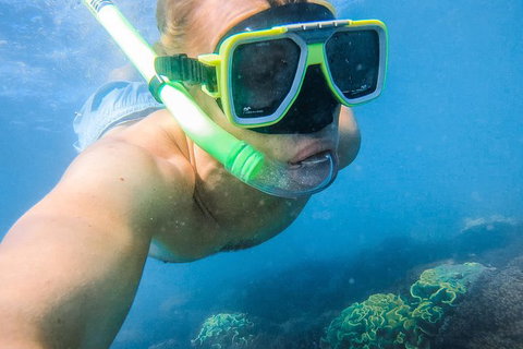 Great Sandy Marine Park Turtle Discovery And Cultural Eco Tour - Accommodation Daintree 2