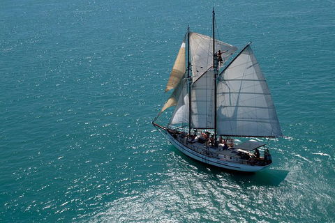 Whitsunday Islands Private Sailing Experience With Snorkeling & Langford Reef - Accommodation Daintree 0