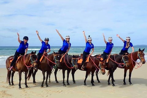 Rainbow Beach Horse Ride - Accommodation Daintree 4