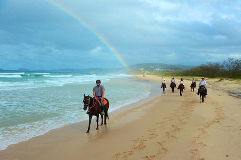 Rainbow Beach Horse Ride - Accommodation Daintree 1