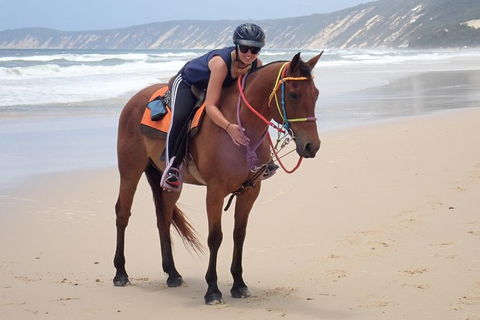 Rainbow Beach Horse Ride - Accommodation Daintree 2