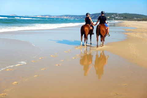 Rainbow Beach Horse Ride - Accommodation Daintree 3