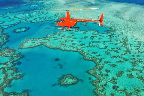 Whitehaven Heli Tour - Accommodation Daintree 4
