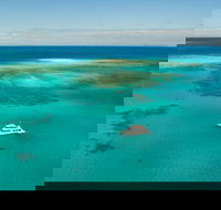 Great Barrier Reef Dive and Snorkel Cruise from Mission Beach - Accommodation Daintree