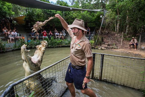 Hartley's Crocodile Adventures Day Trip From Cairns - Accommodation Daintree 0